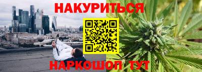 индика Баксан