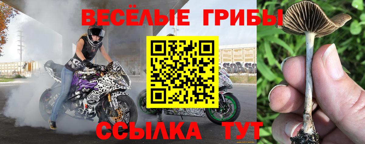 Галлюциногенные грибы Cubensis  Псилоцибиновые грибы Magic Shrooms  Воркута  Вход с VPN 
